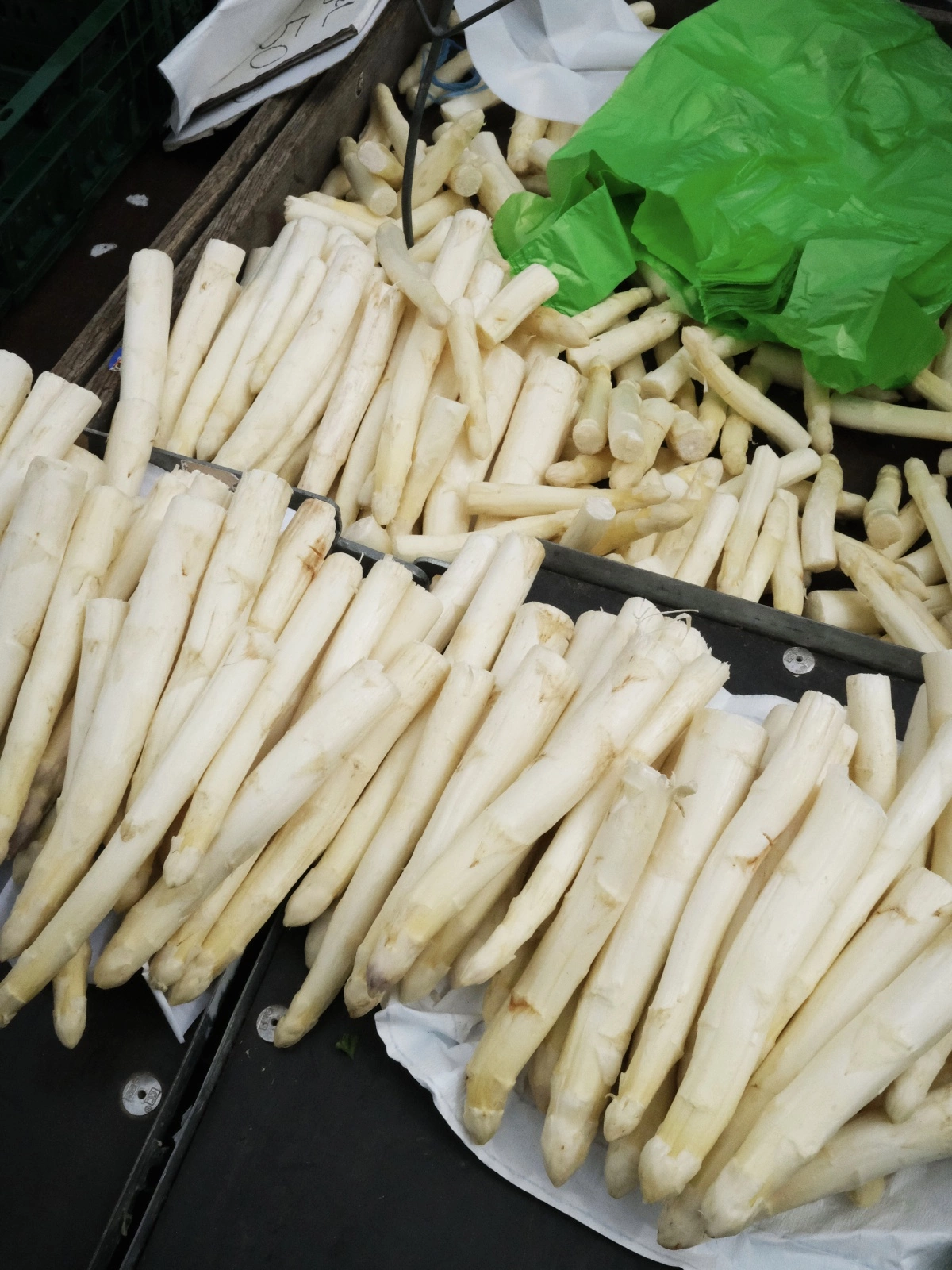 White asparagus