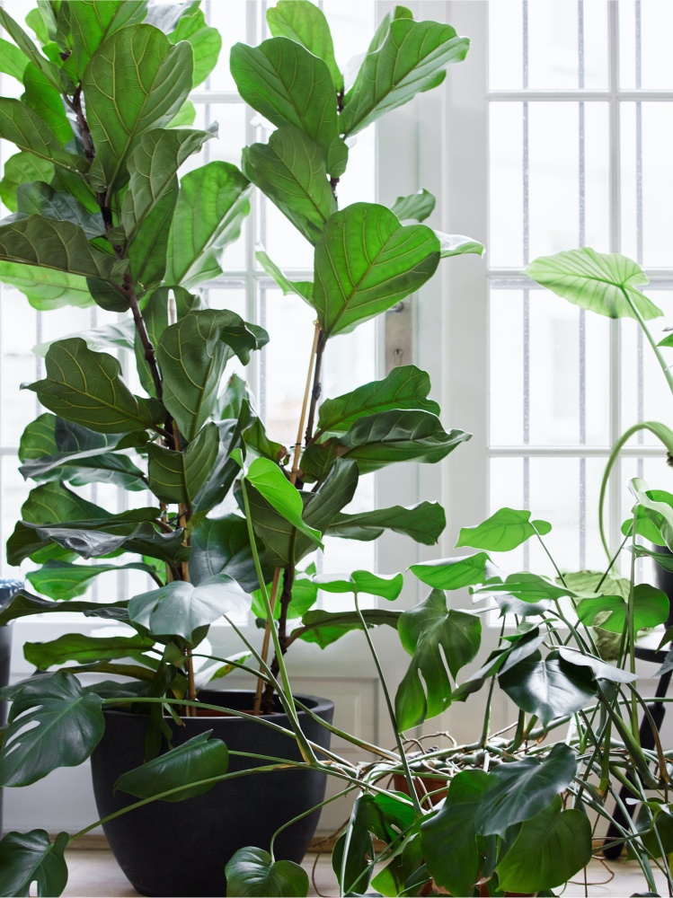 Freunde Von Freunden, Anthracite and aluminum kitchen in Berlin Reform