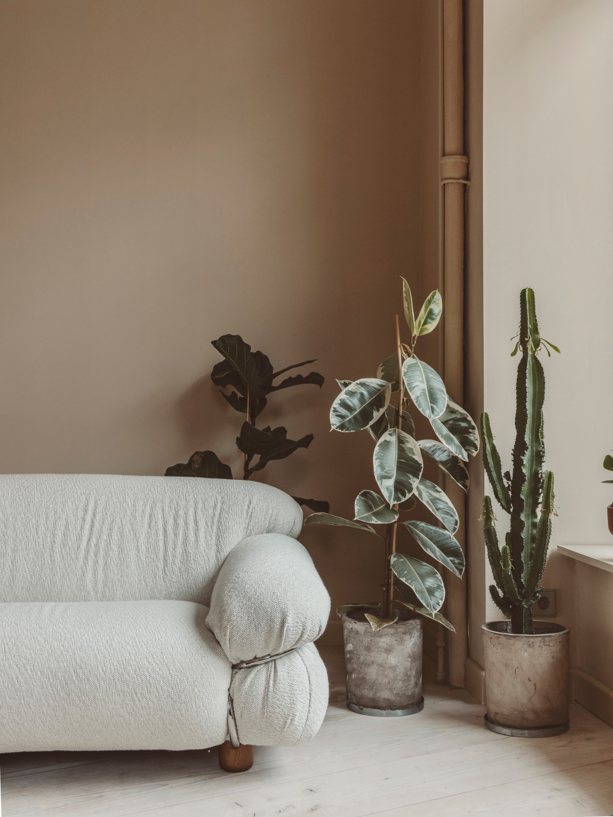 White couch and green plants