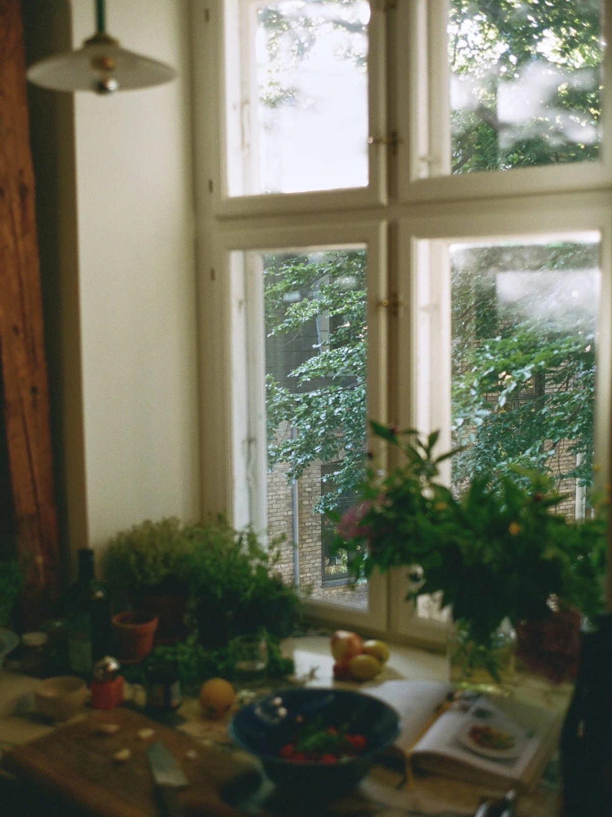 Kitchen window